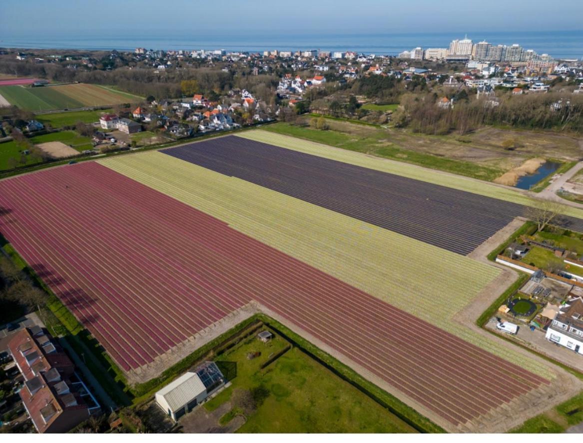 Tiny Beachhouse - Free Parking Noordwijk Exterior foto
